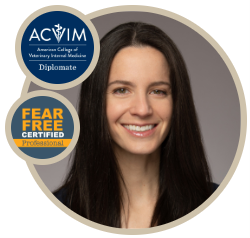 Dr. Audra Fenimore, DVM, MS, DACVIM (SAIM)