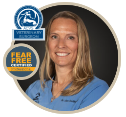 Dr. Jennifer Swiderski, DVM, MS, DACVS-SA